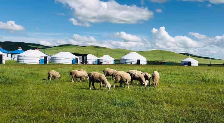 des steppes en Mongolie intérieure