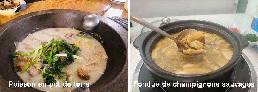 Fondue de champignons sauvages et Poisson en pot de terre 