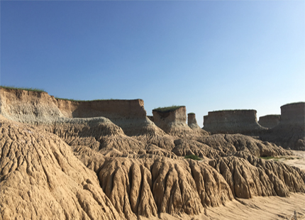 forêt de terre Datong